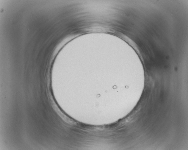 X0000065251195200603131120