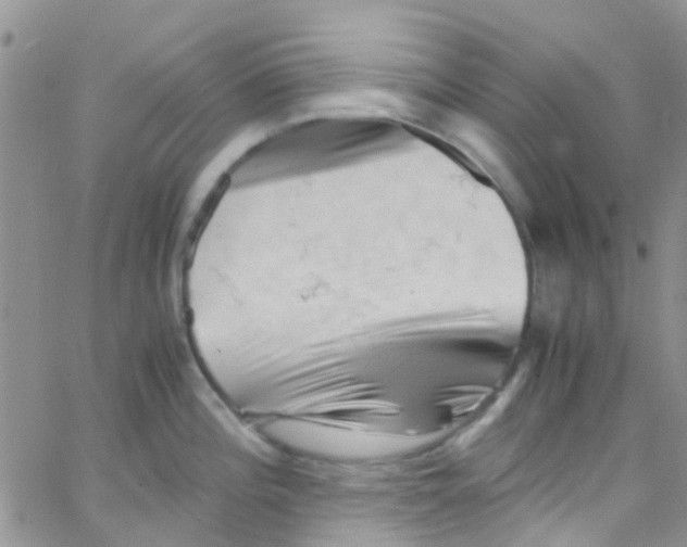 X0000065251196200603131120