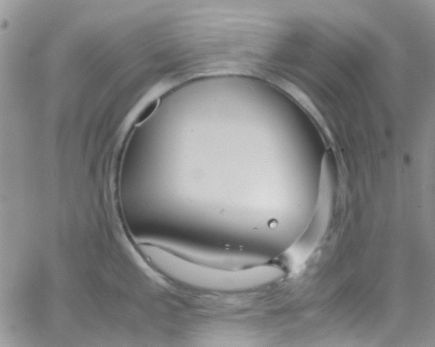 X0000065251197200603131120