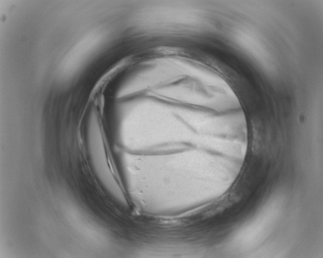 X0000065251198200603131120