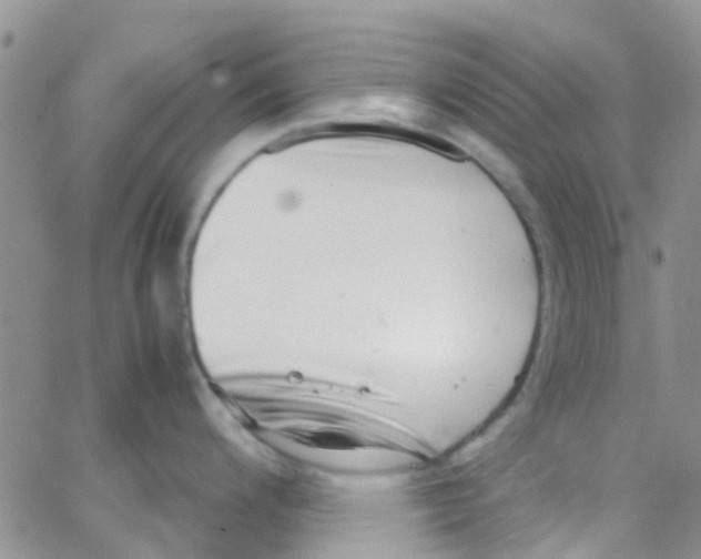 X0000065251200200603131120