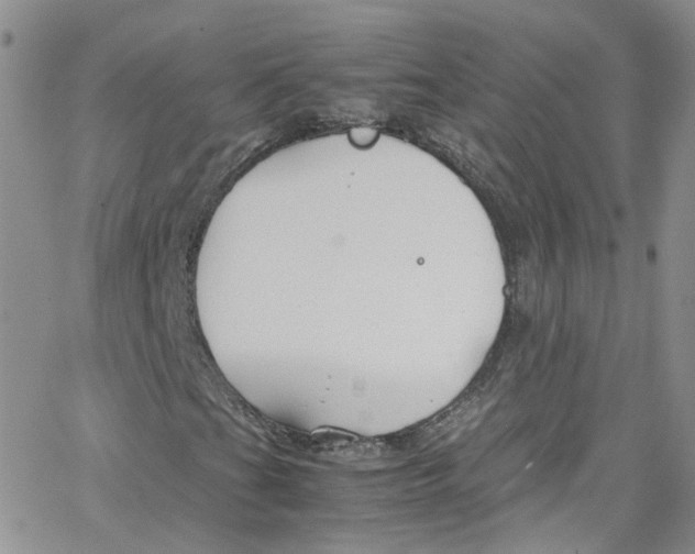 X0000065251201200603131119