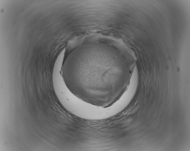 X0000065251202200603131119