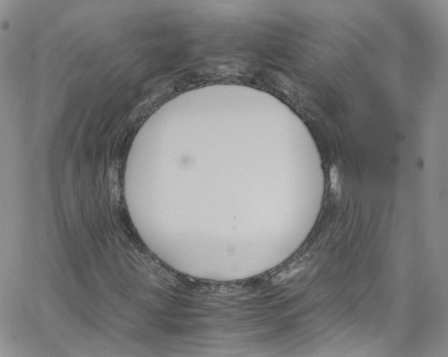 X0000065251203200603131119