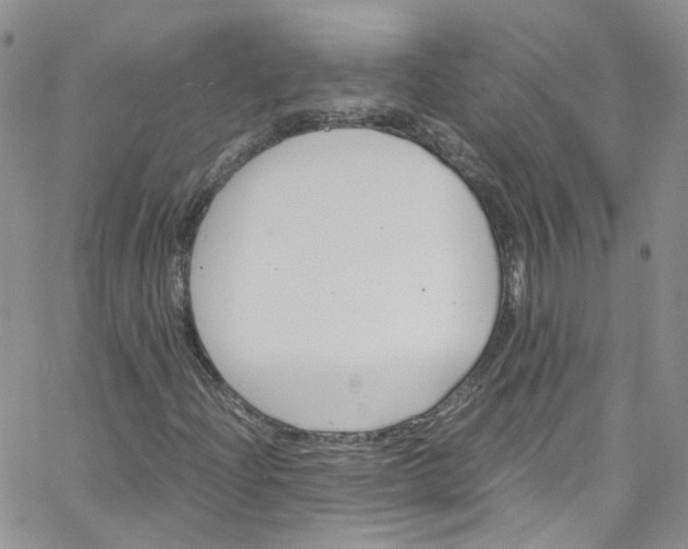 X0000065251204200603131119