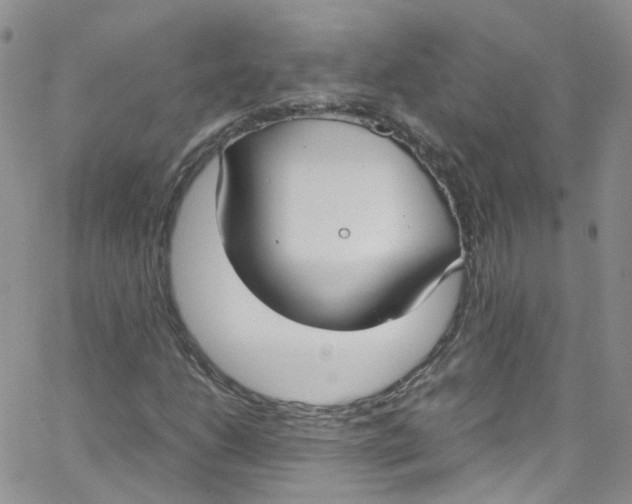 X0000065251206200603131119