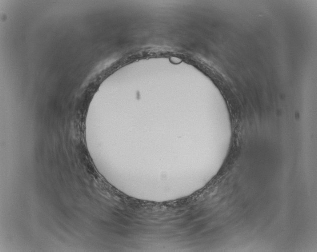 X0000065251207200603131119