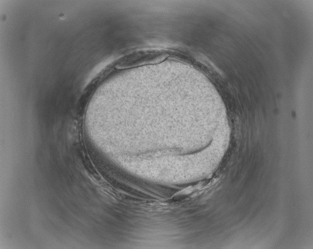 X0000065251208200603131119