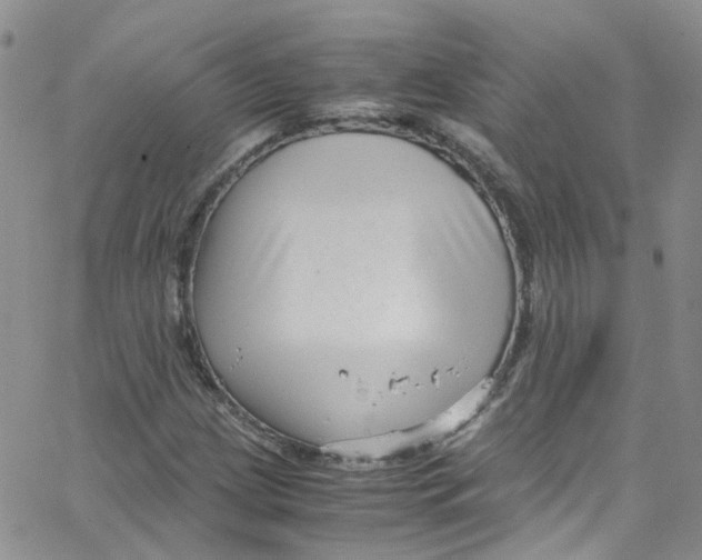 X0000065251209200603131119