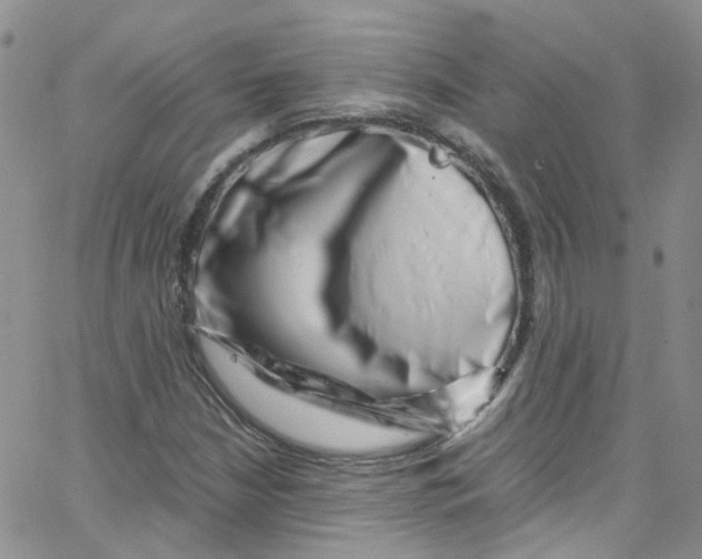 X0000065251210200603131119