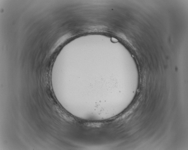 X0000065251211200603131119