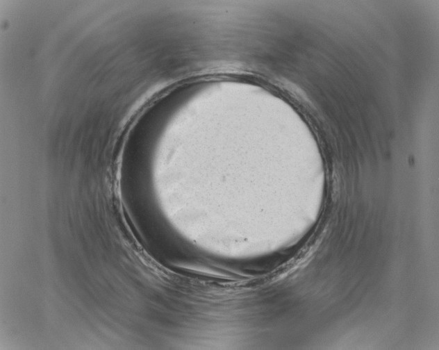 X0000065251212200603131119