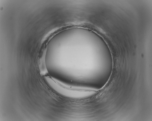 X0000065251214200603131119