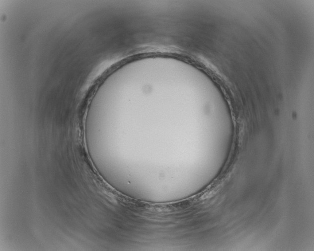 X0000065251215200603131119