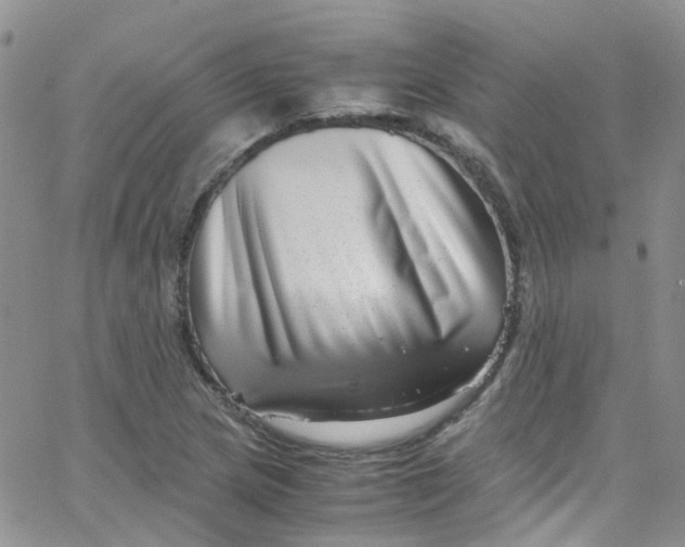 X0000065251217200603131119