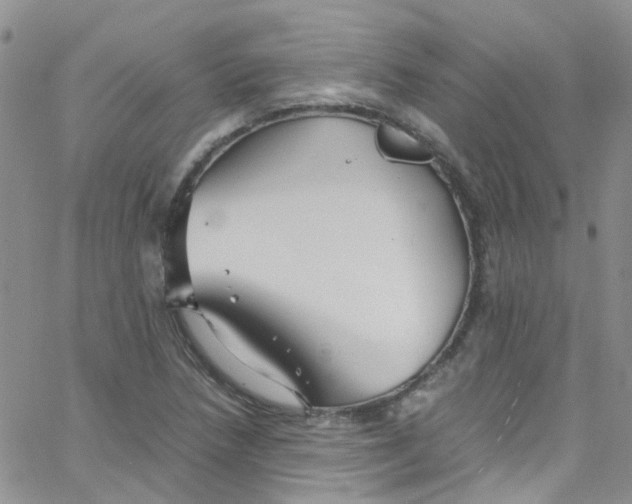 X0000065251218200603131119