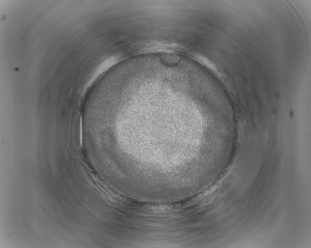 X0000065251219200603131119