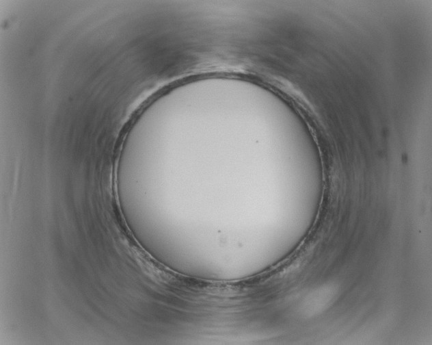 X0000065251220200603131119