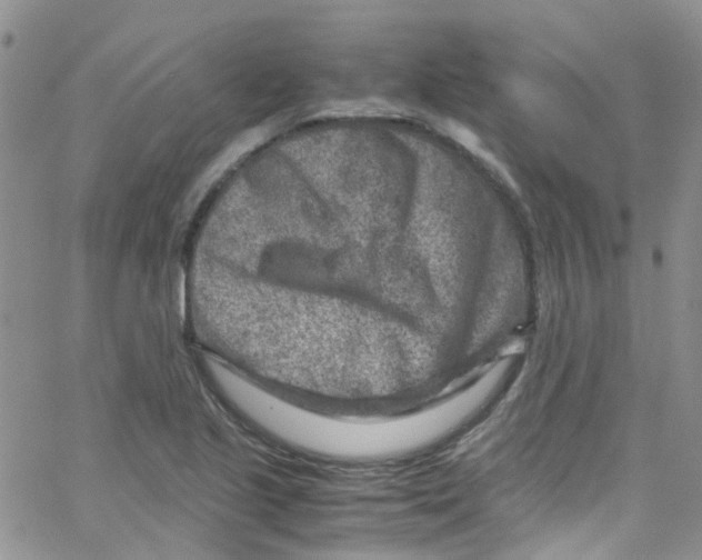 X0000065251221200603131119