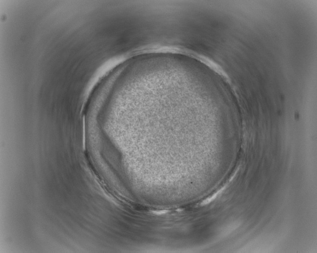 X0000065251223200603131119