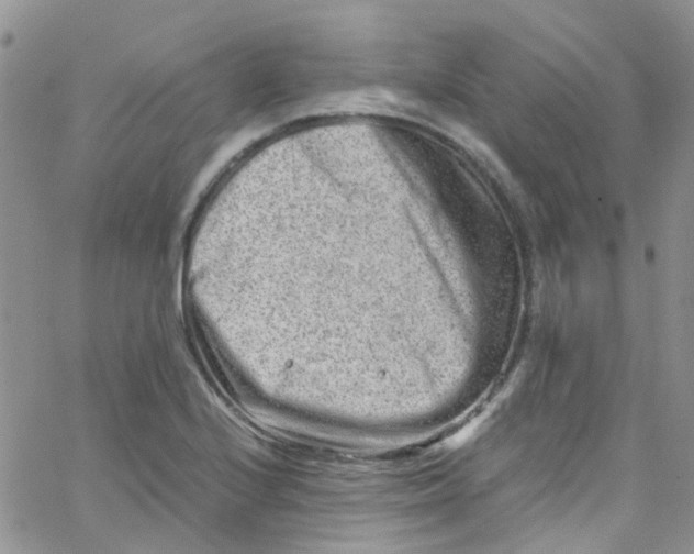 X0000065251224200603131119