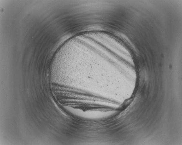 X0000065251225200603131119