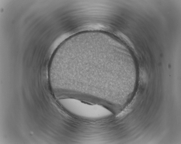 X0000065251226200603131119