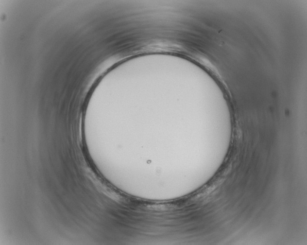 X0000065251227200603131120