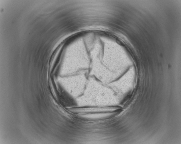 X0000065251228200603131120