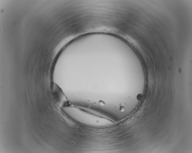 X0000065251230200603131120