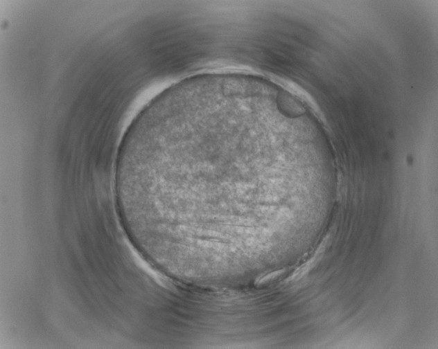 X0000065251231200603131120