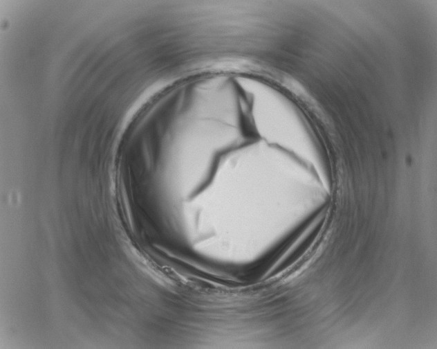 X0000065251232200603131120