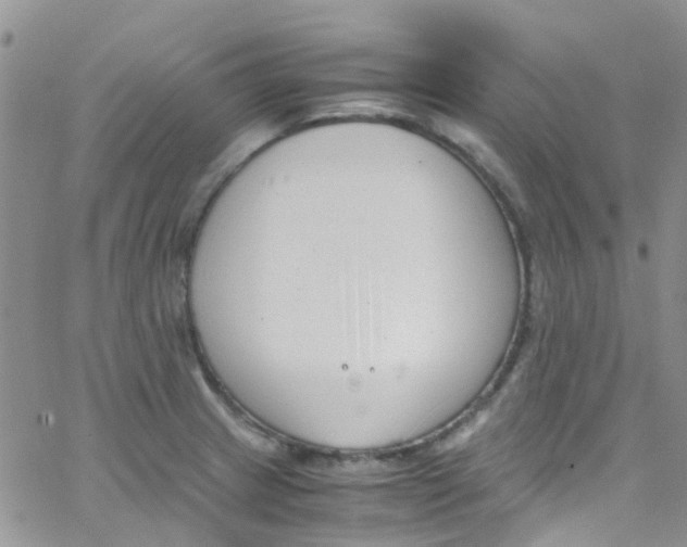 X0000065251233200603131120