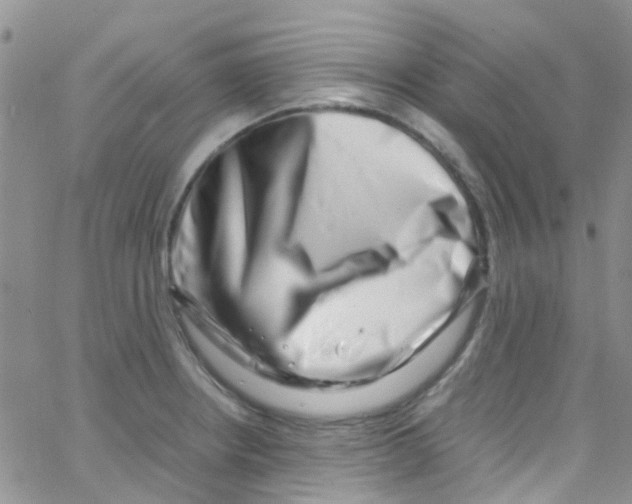 X0000065251234200603131120