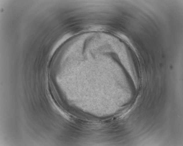 X0000065251235200603131120