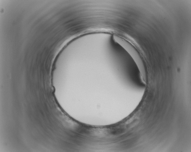 X0000065251236200603131120