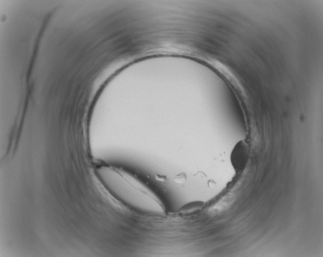 X0000065251238200603131120