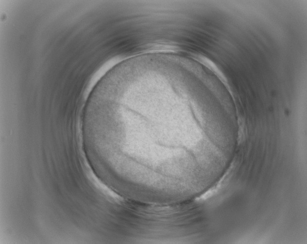 X0000065251243200603131120