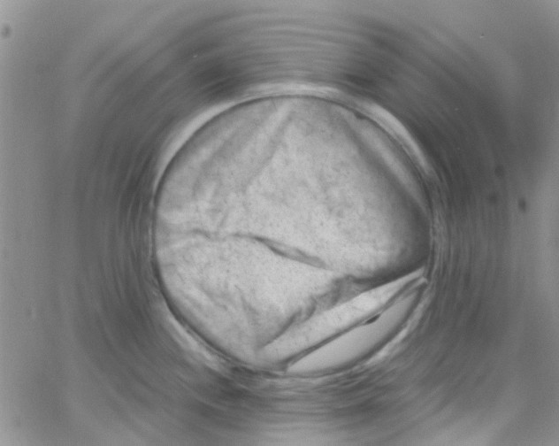 X0000065251244200603131120