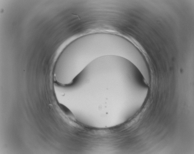 X0000065251246200603131120