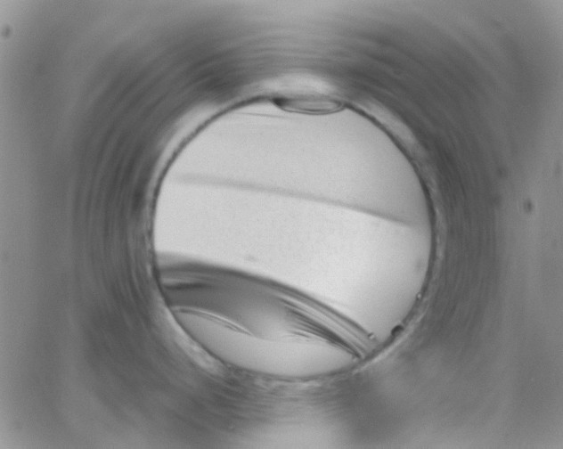 X0000065251248200603131120