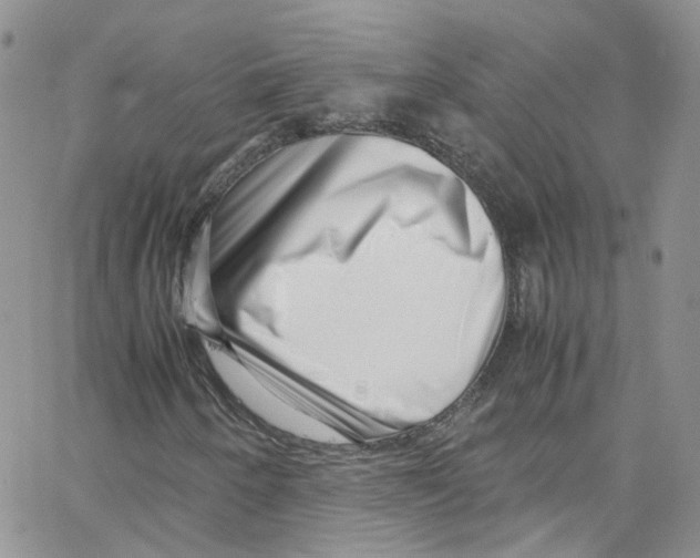 X0000065251250200603131119