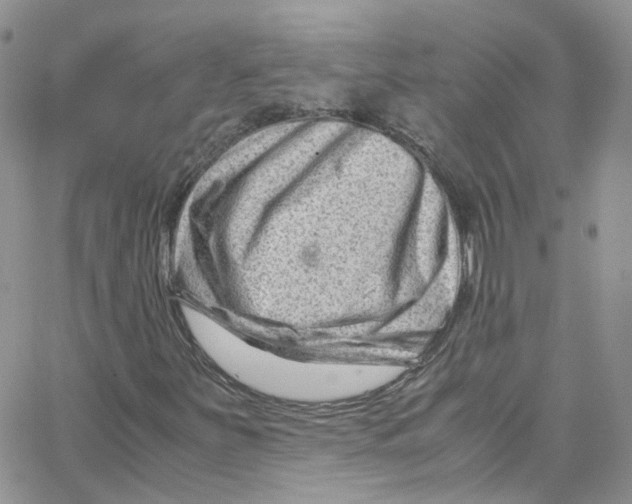 X0000065251251200603131119