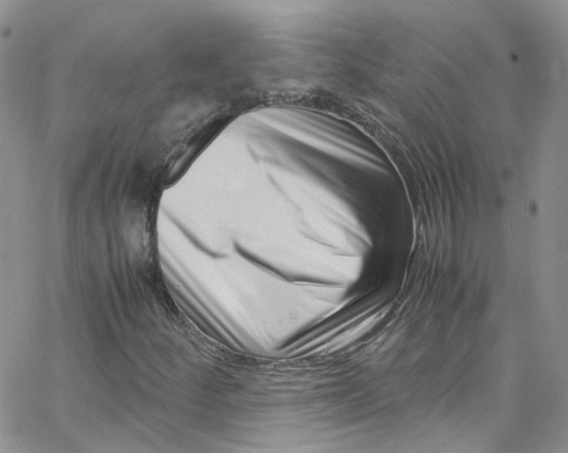 X0000065251252200603131119