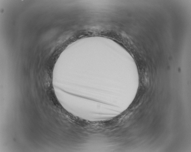 X0000065251253200603131119