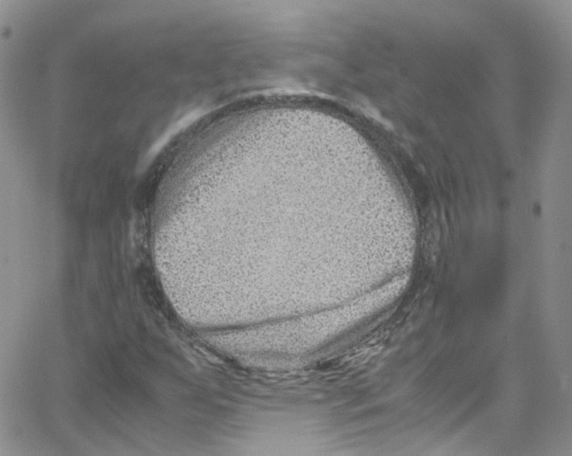 X0000065251255200603131119