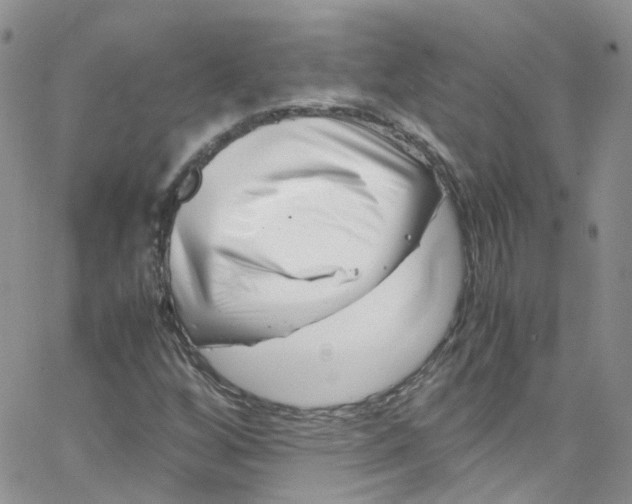 X0000065251256200603131119