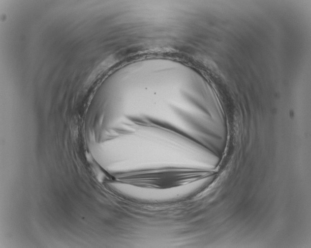 X0000065251257200603131119