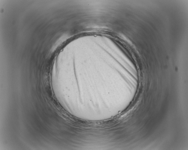 X0000065251259200603131119