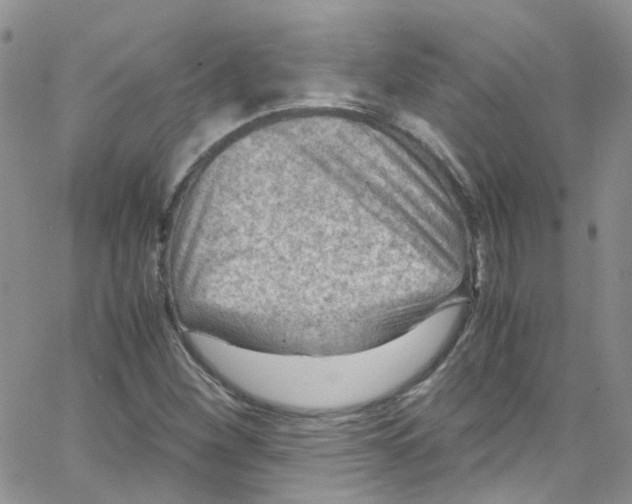 X0000065251260200603131119